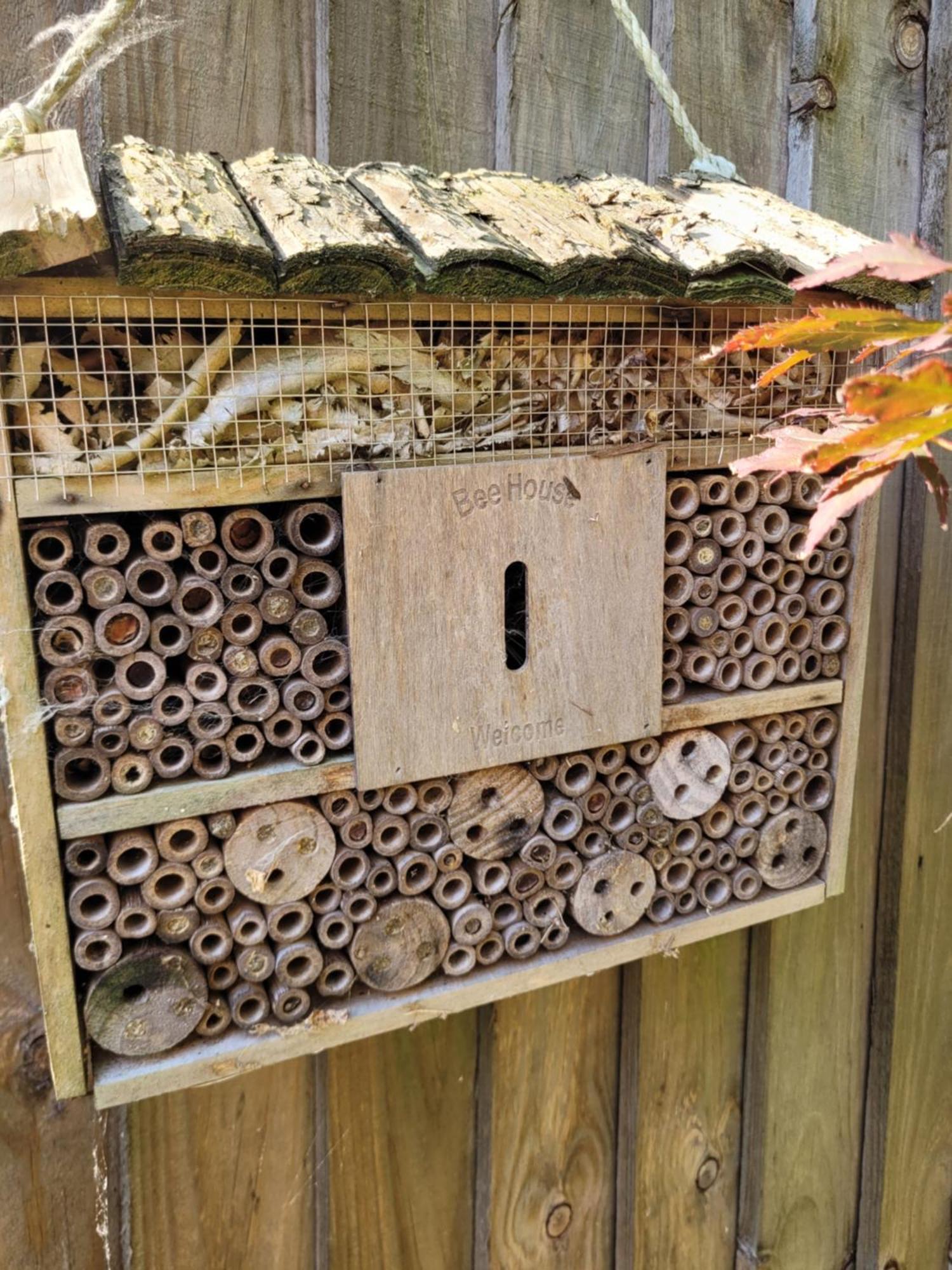 Bumblebee Bungalow - With Separate Office And Gaming Space By Catchpole Stays Colchester Zewnętrze zdjęcie